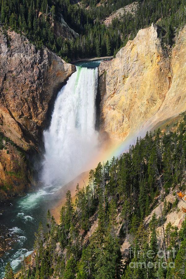 Yellowstone falls Photograph by Phil Cappiali Jr