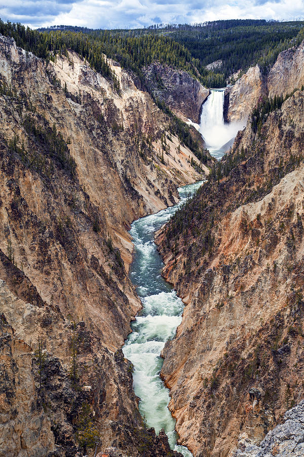 Yellowstone National Park Photograph - Yellowstone Falls by Robert Bynum