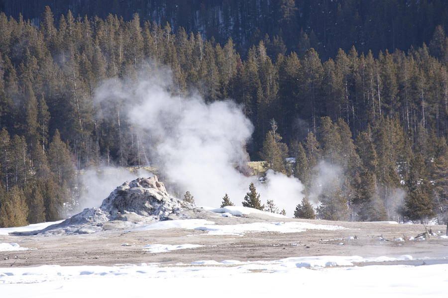 Yellowstone Geiser Photograph by Mary Haber