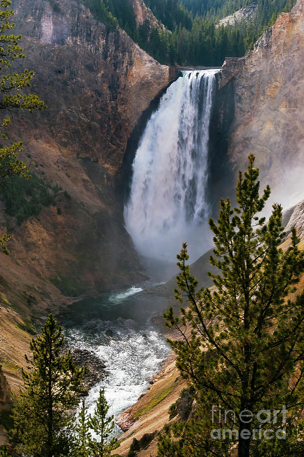 Yellowstone Grand Canyon Falls Photograph by Bob Phillips - Fine Art ...