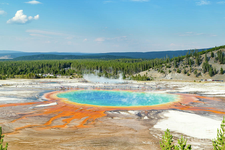 Yellowstone Grand Prismatic Spring  Photograph by Andy Myatt