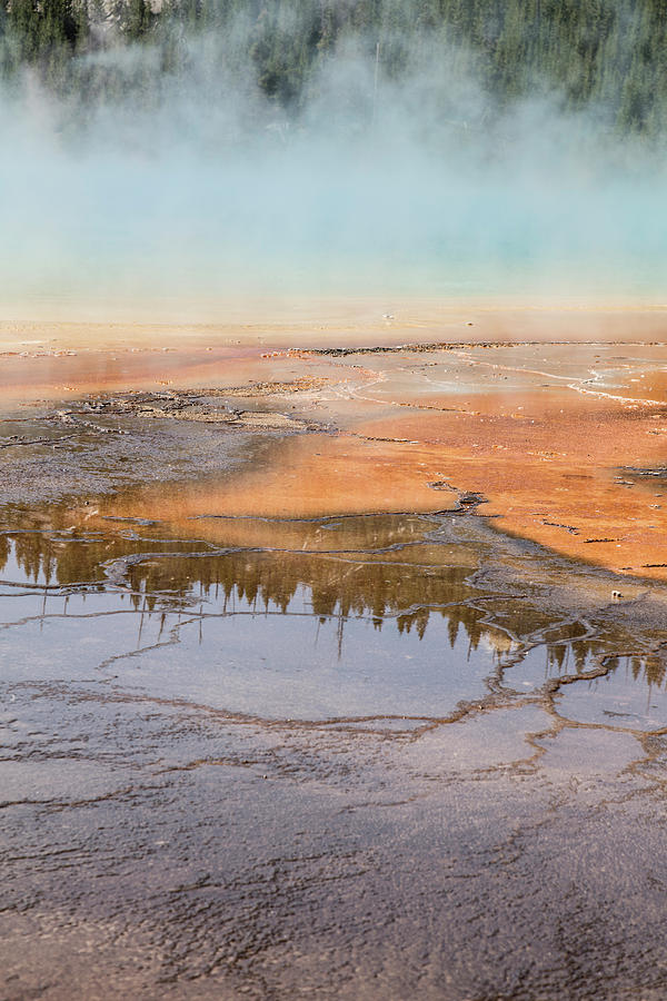 Yellowstone Grand Prismatic Spring  Photograph by John McGraw