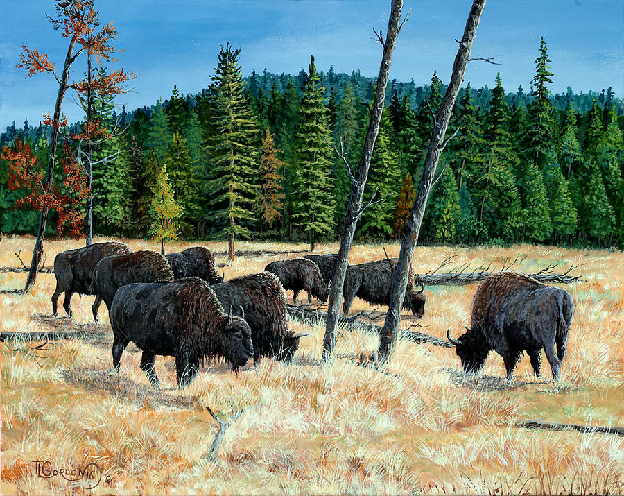 Yellowstone Grazers Painting by Timithy L Gordon