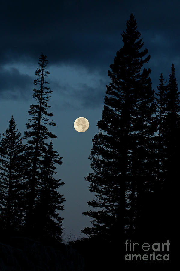 Yellowstone Harvest Moon-signed-#0991 Photograph