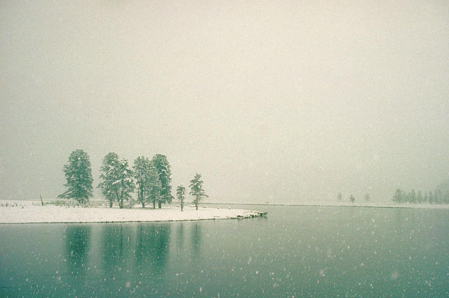 Yellowstone Hayden River Snowstorm Photograph by John Burk