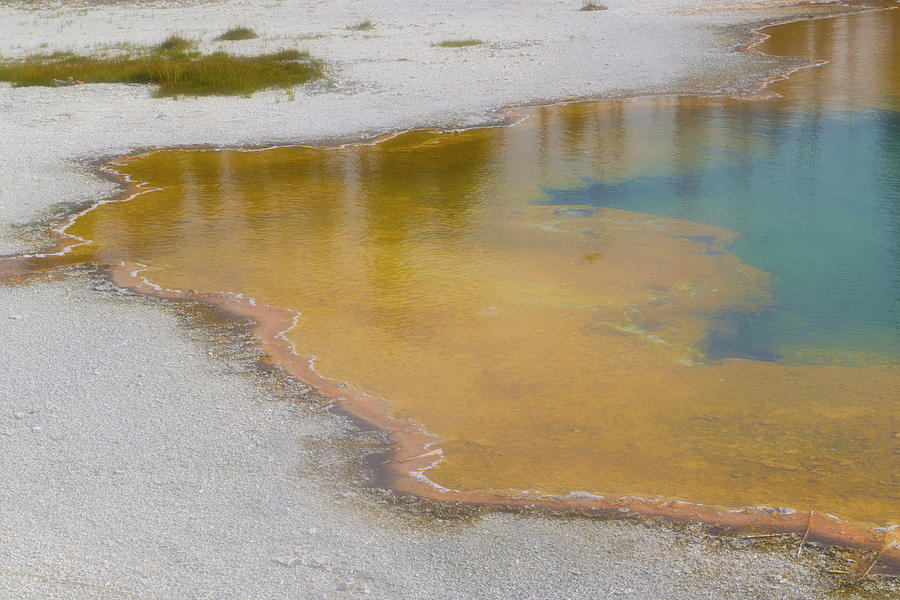 Yellowstone Hot Springs 4 Photograph by Bonnie Bruno