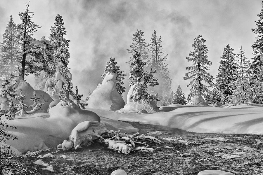 Yellowstone in Winter Photograph by Gary Lengyel