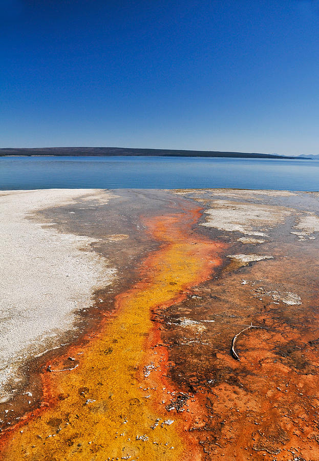 Yellowstone Lake and West Thumb Geyser Flow Photograph by Ginger Wakem