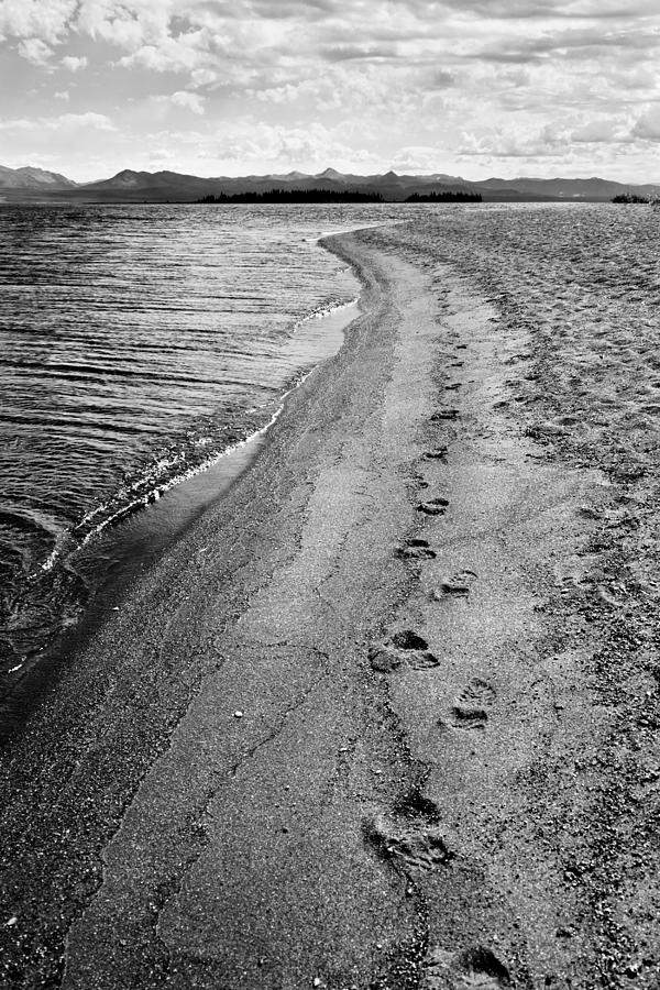 Yellowstone National Park Photograph - Yellowstone Lake Footsteps by Michelle Oppegard