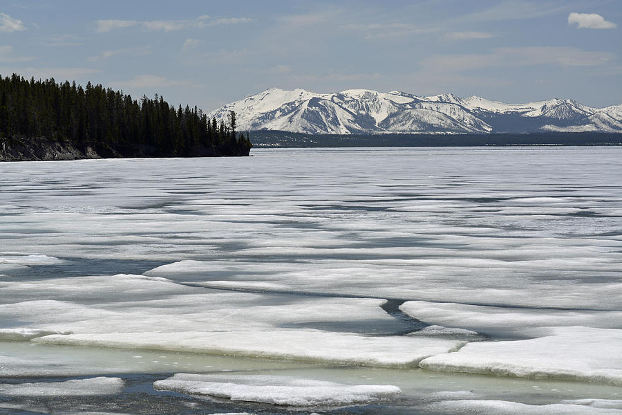 Yellowstone Lake Spring Ice Photograph by Bruce Gourley