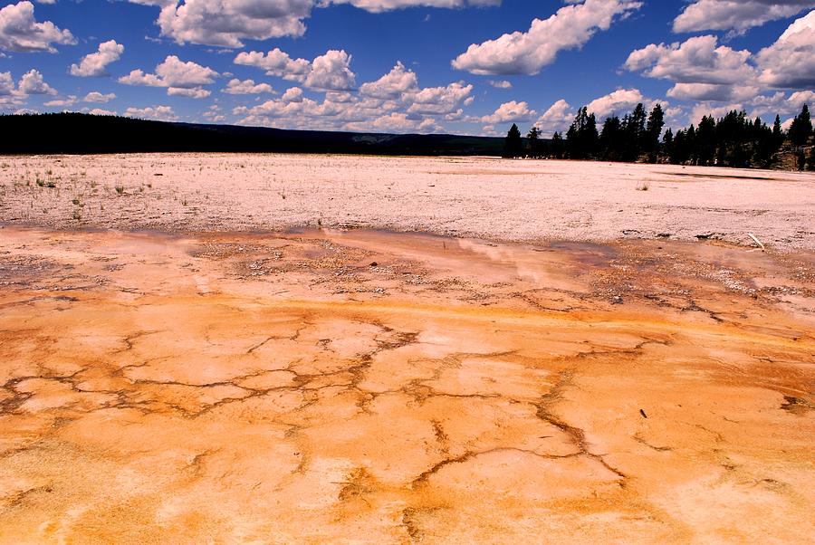 Yellowstone National Park Photograph - Yellowstone Landscape by Matt Quest