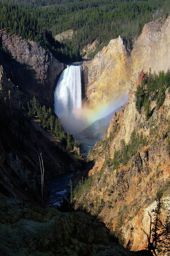 Yellowstone Lower Falls Photograph by Brett Pelletier