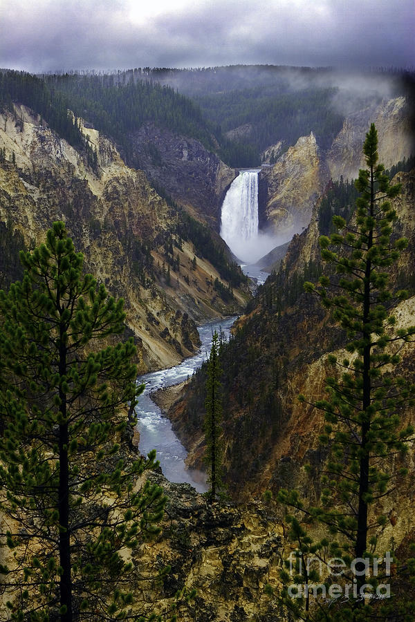 Yellowstone Lower Falls Photograph by Craig J Satterlee