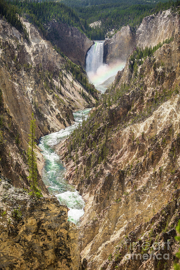 Yellowstone Lower Falls and River II Photograph by Karen Jorstad