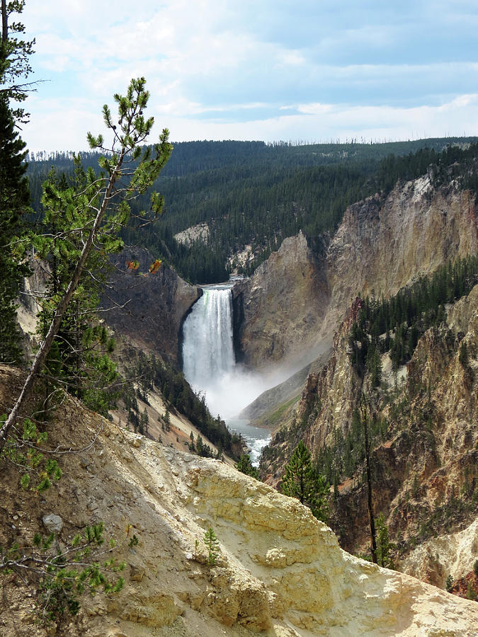 Yellowstone Lower Falls Photograph by Laurel Powell