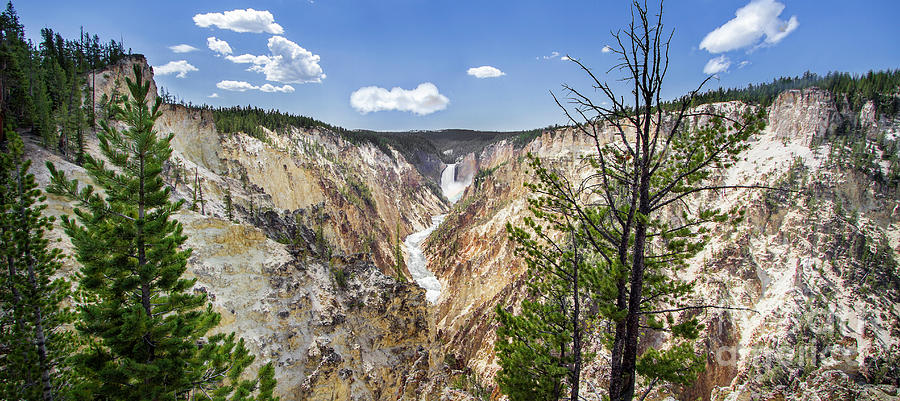 Yellowstone Canyon and Lower Falls Panorama Photograph by Karen Jorstad