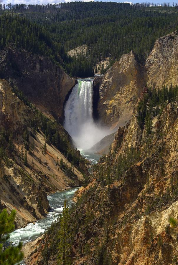 National Parks Photograph - Yellowstone Lower falls by Patrick  Flynn