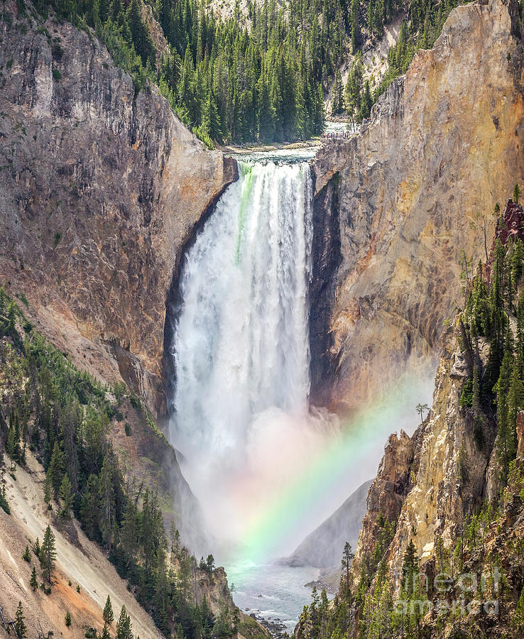 Yellowstone Lower Falls Rainbow I Photograph by Karen Jorstad