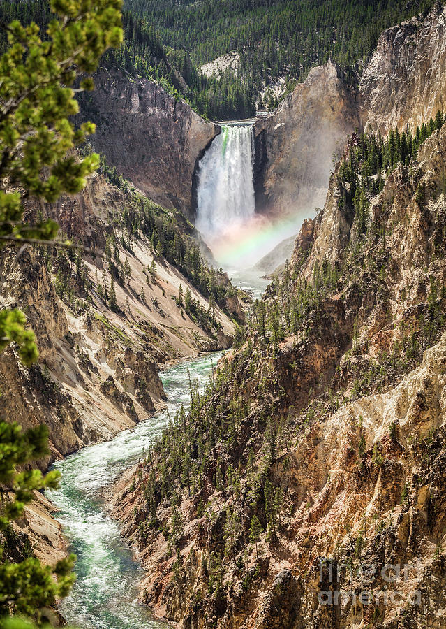 Yellowstone Lower Falls and River I Photograph by Karen Jorstad