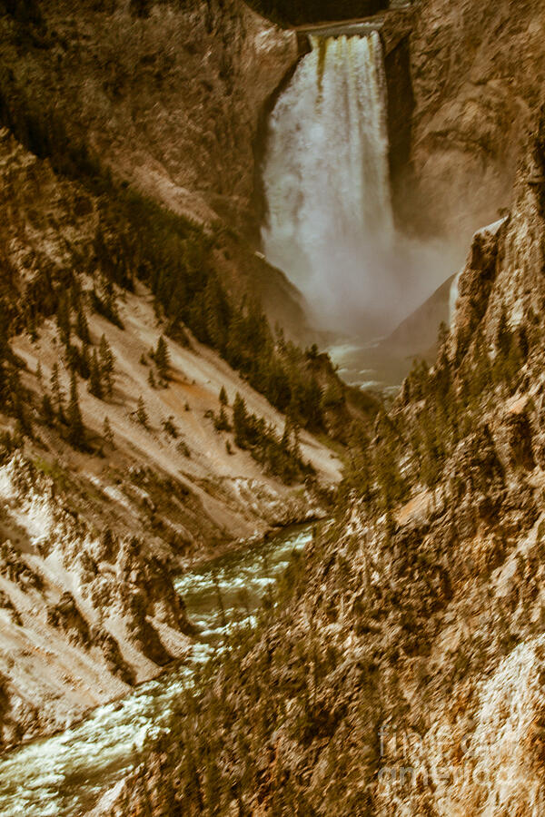 Yellowstone National Park Photograph - Yellowstone Lower Falls by Robert Bales