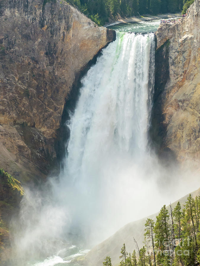 Yellowstone Lower Falls Photograph by Rod Jones