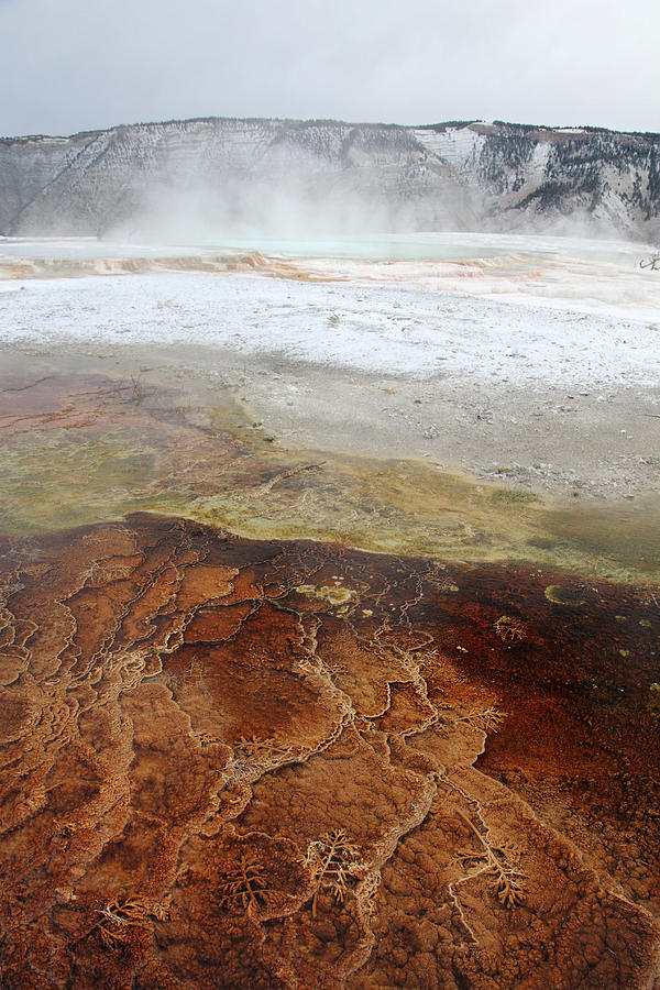Yellowstone Mammoth hot springs Photograph by Pierre Leclerc Photography