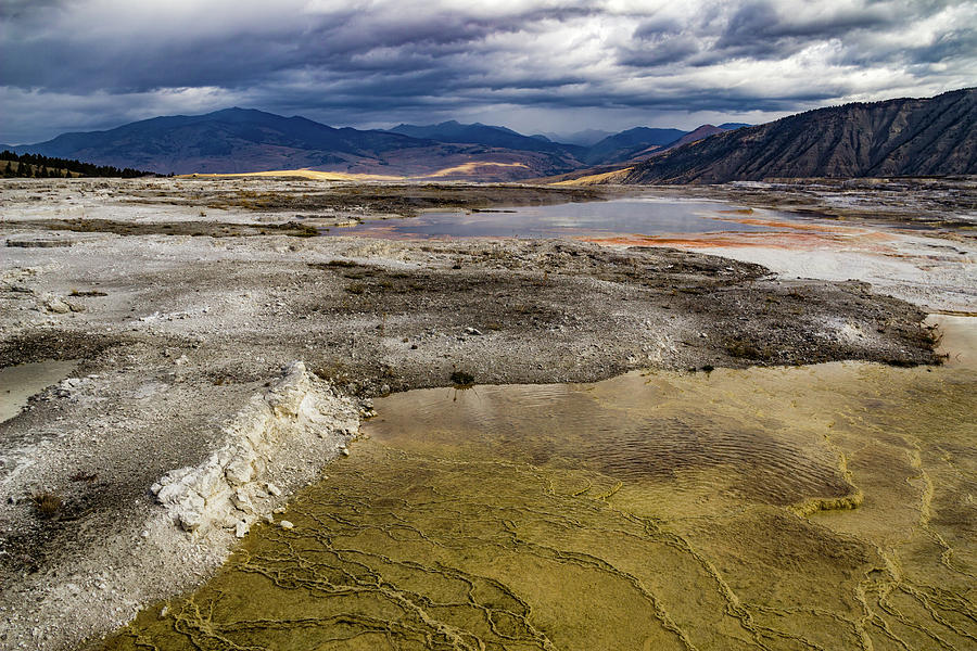 Yellowstone, Mammoth Hot Springs Photograph by Roslyn Wilkins