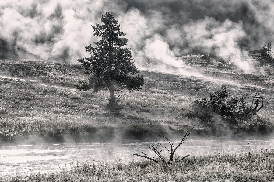 Yellowstone Mood - 9 Black and White edition Photograph by Alex Mironyuk
