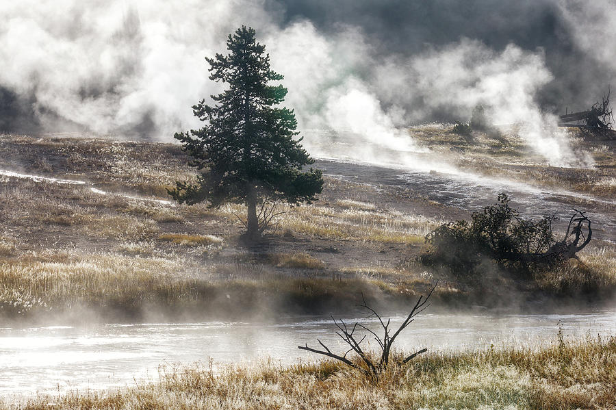 Yellowstone Mood - 9 Color Edition Photograph by Alex Mironyuk