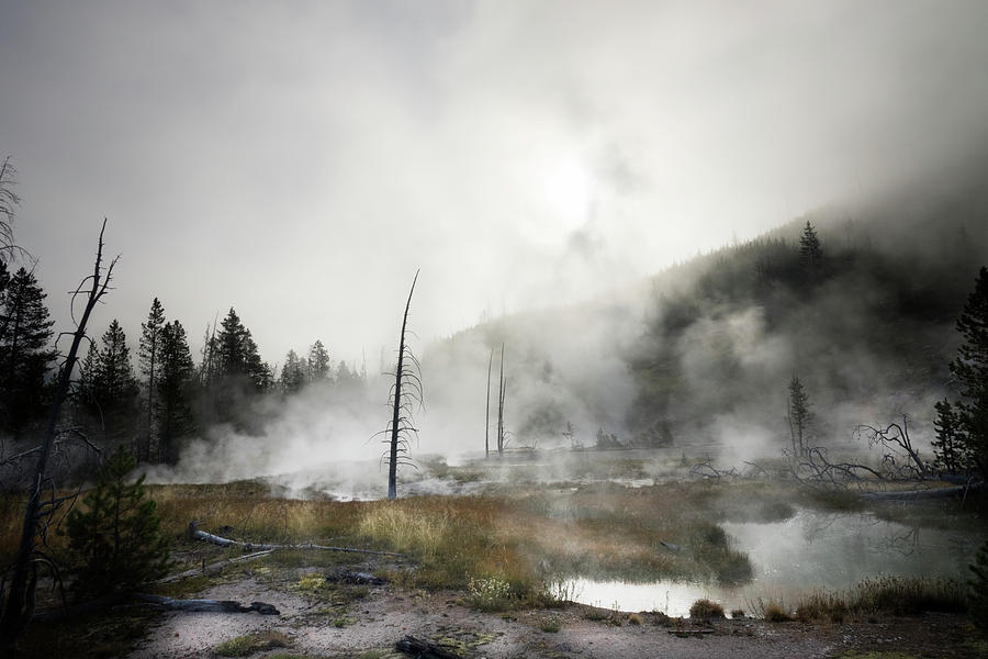 Yellowstone Morning Fog Photograph by James Bethanis