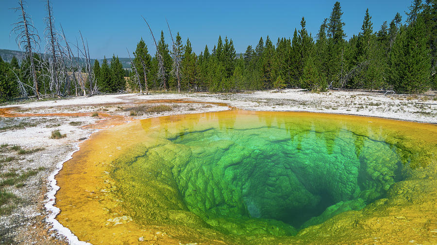 Yellowstone Morning Glory Pool Wyoming Photograph by Lawrence S Richardson Jr