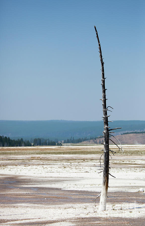 Yellowstone National Park Photograph by Kati Finell