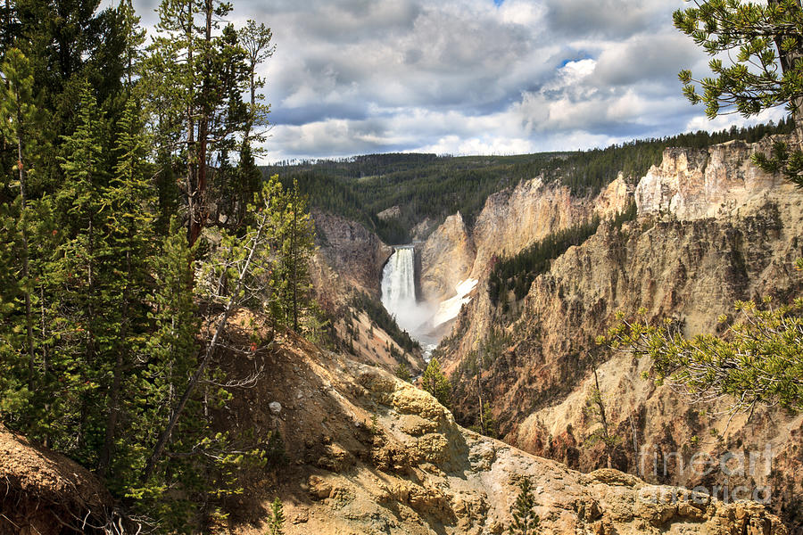 Yellowstone National Park Photograph by Robert Bales