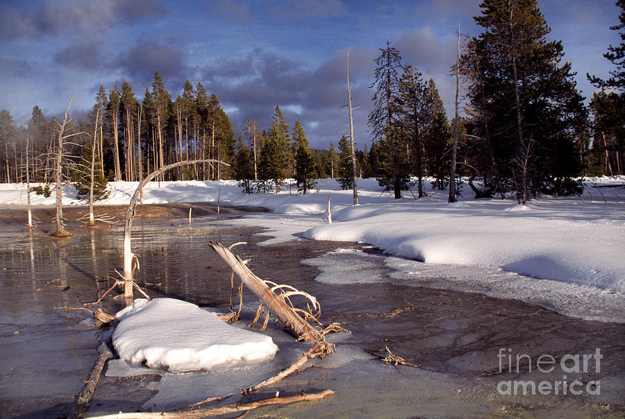 Yellowstone National Park Photograph by Thomas R Fletcher