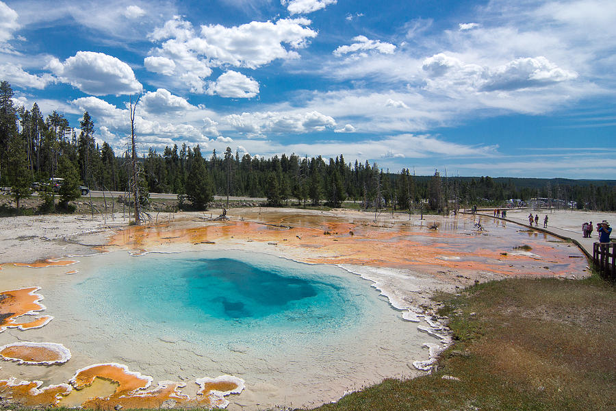 Yellowstone Photograph by Nick Libre - Fine Art America