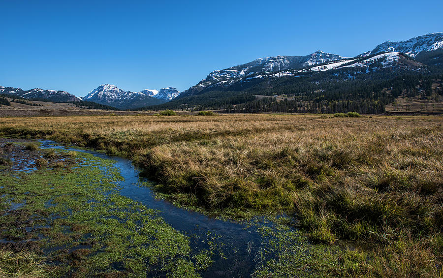 Yellowstone NP near Soda Butte by Alex Galkin Yellowstone NP near Soda Butte by Alex Galkin