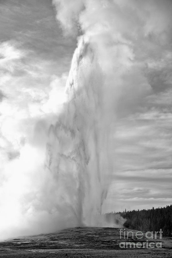 Yellowstone Old Faithful Sunset Eruption Black And White Photograph by Adam Jewell