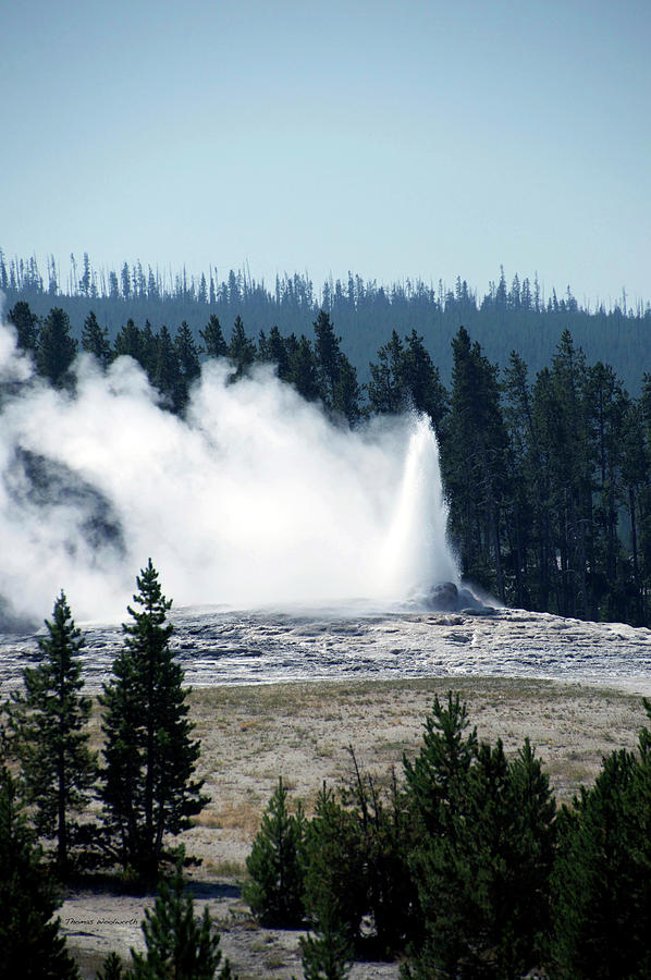 Yellowstone Park A View Of Old Faithful Just Starting Vertical Photograph by Thomas Woolworth