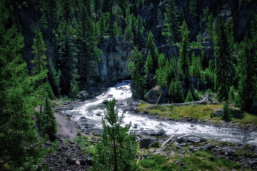 Yellowstone Park At Firehole Canyon In August PA 02 Photograph by Thomas Woolworth