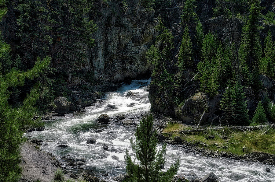 Yellowstone Park At Firehole Canyon In August PA 03 Photograph by Thomas Woolworth
