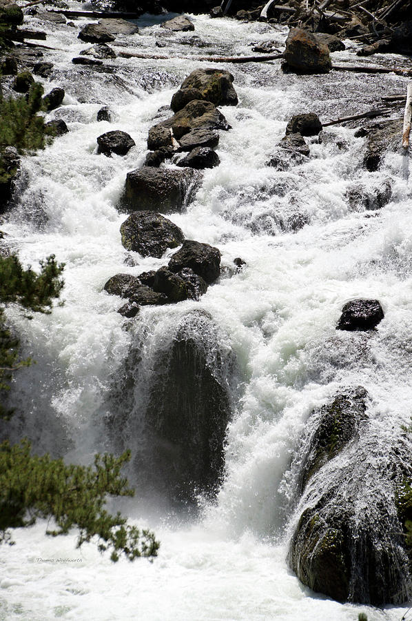 Yellowstone Park At Firehole Falls In August Vertical 02 Photograph by Thomas Woolworth