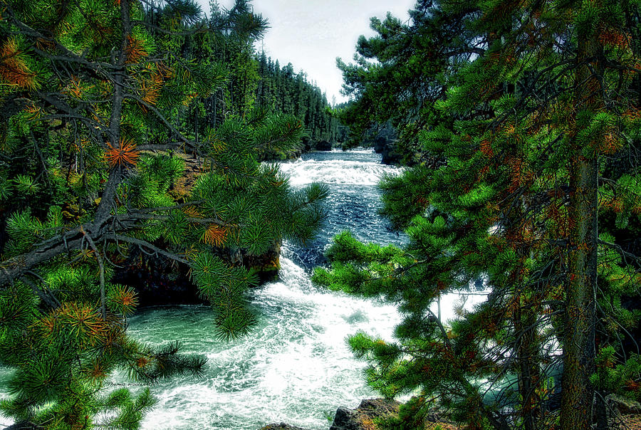 Yellowstone Park At Upper Falls In August 03 Photograph by Thomas Woolworth