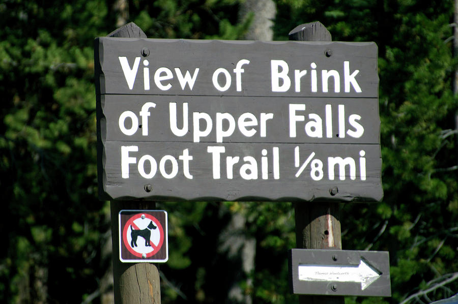 Yellowstone Park At Upper Falls In August Signage Photograph by Thomas Woolworth