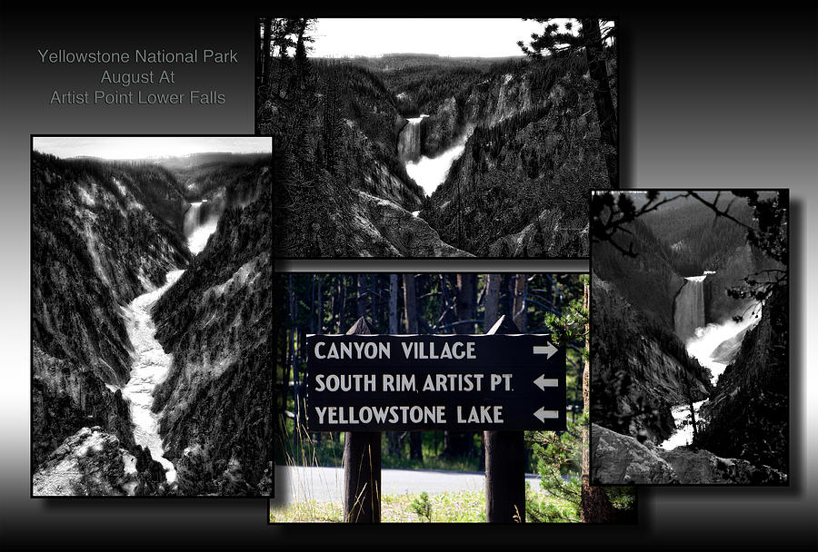 Yellowstone Park August At Artist Point Lower Falls BW Collage Photograph by Thomas Woolworth