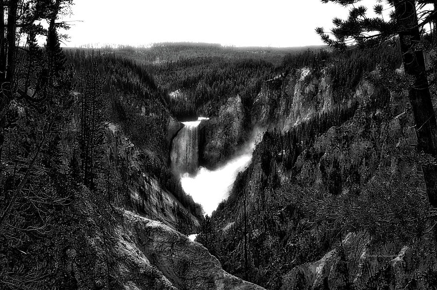 Yellowstone Park August At Artist Point Lower Falls BW Photograph by Thomas Woolworth
