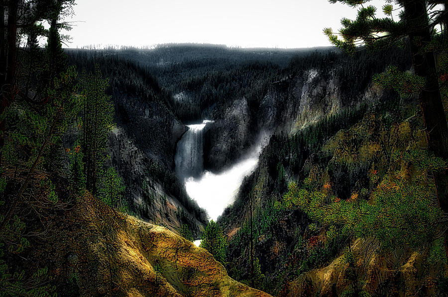 Yellowstone Park August At Artist Point Lower Falls SC PA Photograph by Thomas Woolworth