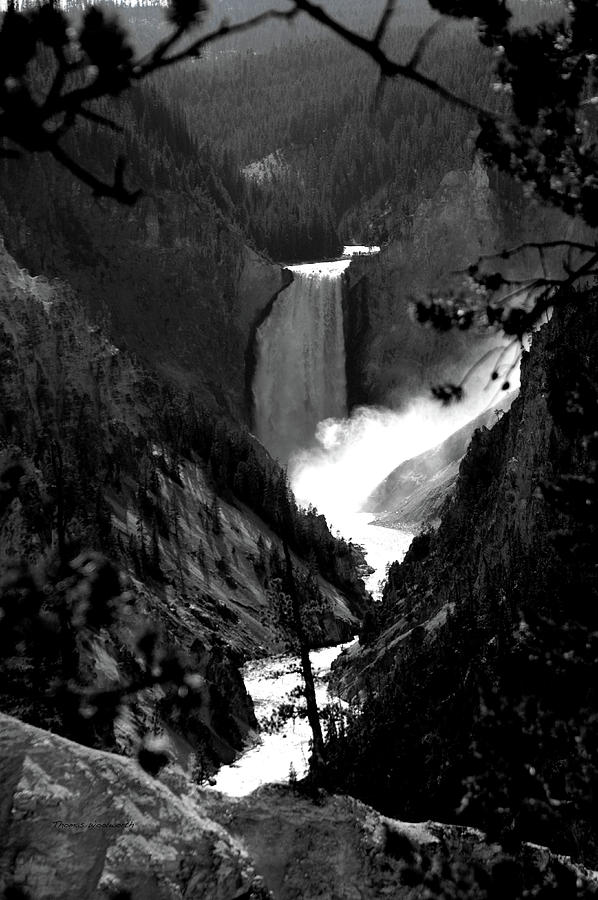 Yellowstone Park August At Artist Point Lower Falls Vertical BW 01 Photograph by Thomas Woolworth