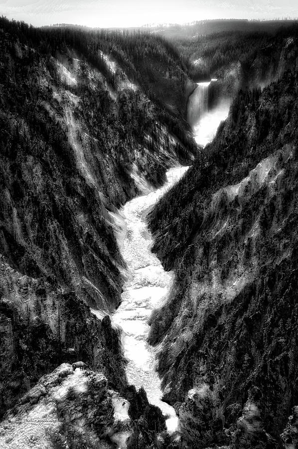 Yellowstone Park August At Artist Point Lower Falls Vertical BW 02 Photograph by Thomas Woolworth