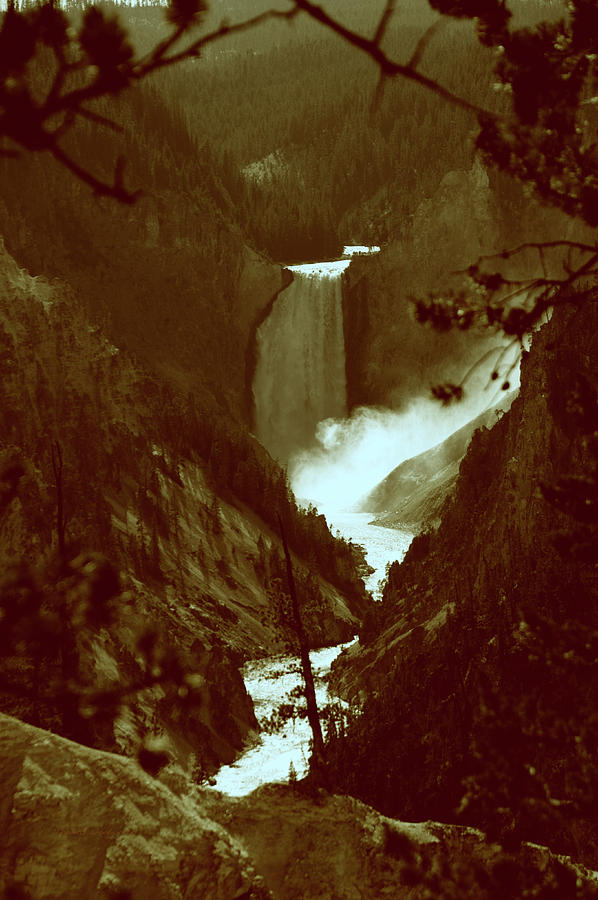Yellowstone Park August At Artist Point Lower Falls Vintage Photograph by Thomas Woolworth