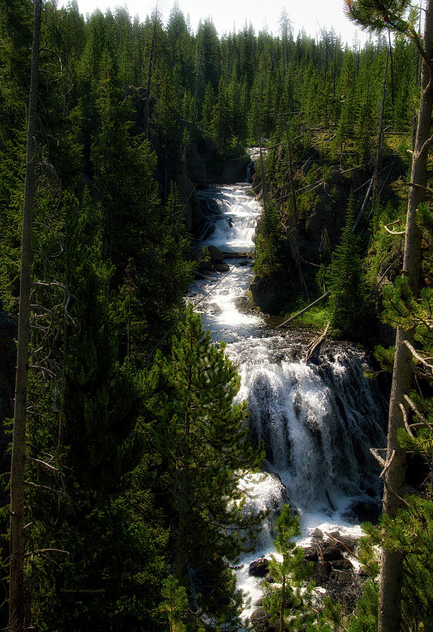 Yellowstone Park August At Kepler Cascades Vertical 01 Photograph by Thomas Woolworth